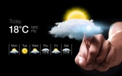 Much like a weather forecast, business forecasting can help you get a sense of  what to expect.