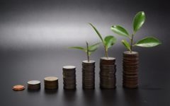 If you're looking to grow as a business, financing can provide the necessary fertiliser.